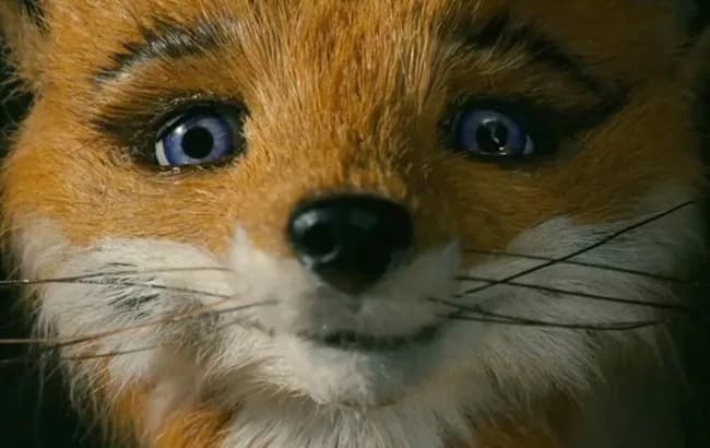 Najlepsze filmy o lisie, które musisz zobaczyć - odkryj ich magię